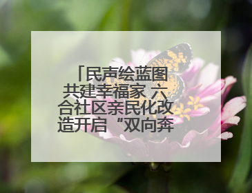 民声绘蓝图 共建幸福家 六合社区亲民化改造开启“双向奔赴”新模式