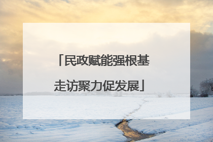民政赋能强根基 走访聚力促发展