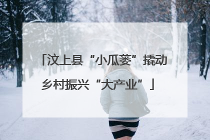 汶上县“小瓜蒌”撬动乡村振兴“大产业”