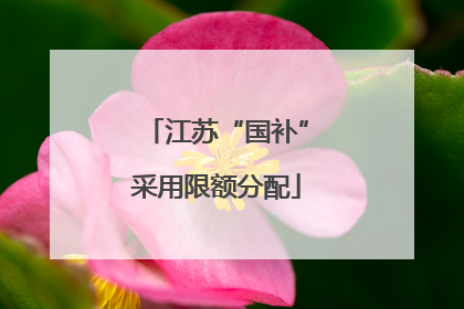 江苏“国补”采用限额分配