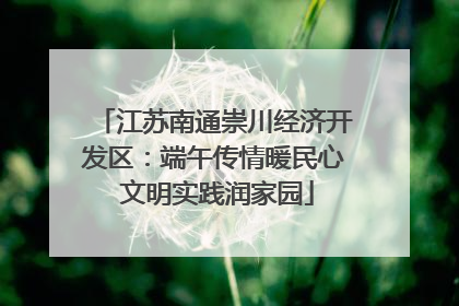 江苏南通崇川经济开发区：端午传情暖民心 文明实践润家园