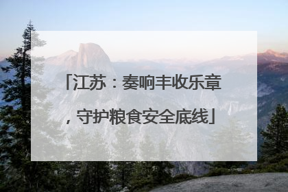 江苏：奏响丰收乐章，守护粮食安全底线
