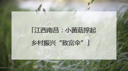 江西南昌：小菌菇撑起乡村振兴“致富伞”