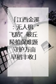 江西金溪：无人机“飞防”破丘陵植保难题 守护万亩早稻丰收