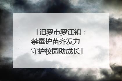 汨罗市罗江镇：禁毒护苗齐发力 守护校园助成长