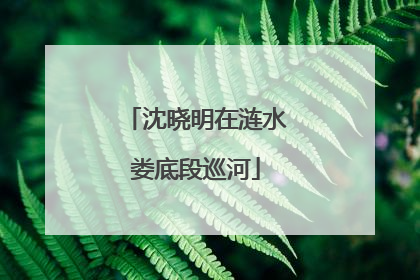 沈晓明在涟水娄底段巡河
