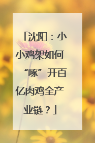 沈阳：小小鸡架如何“啄”开百亿肉鸡全产业链？