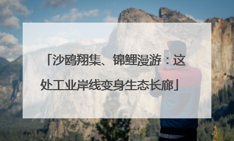 沙鸥翔集、锦鲤漫游：这处工业岸线变身生态长廊
