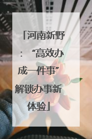 河南新野：“高效办成一件事”解锁办事新体验