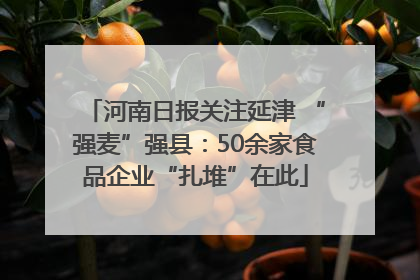 河南日报关注延津 “强麦”强县：50余家食品企业“扎堆”在此