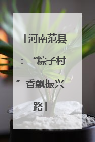 河南范县：“粽子村”香飘振兴路