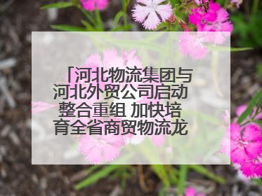河北物流集团与河北外贸公司启动整合重组 加快培育全省商贸物流龙头企业