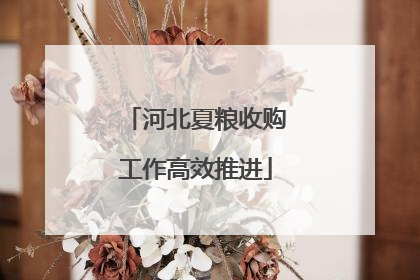 河北夏粮收购工作高效推进