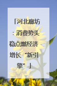 河北廊坊：消费势头稳点燃经济增长“新引擎”