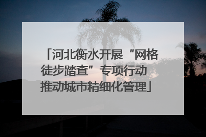 河北衡水开展“网格徒步踏查”专项行动 推动城市精细化管理
