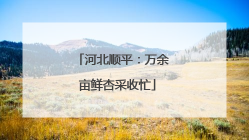 河北顺平：万余亩鲜杏采收忙