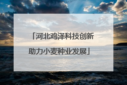 河北鸡泽科技创新助力小麦种业发展