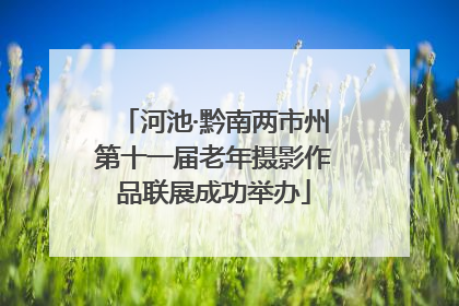 河池·黔南两市州第十一届老年摄影作品联展成功举办