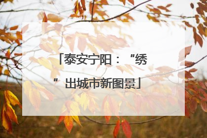 泰安宁阳：“绣”出城市新图景