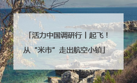 活力中国调研行丨起飞！从“米市”走出航空小镇