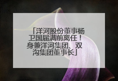 洋河股份董事杨卫国届满前离任！身兼洋河集团、双沟集团董事长