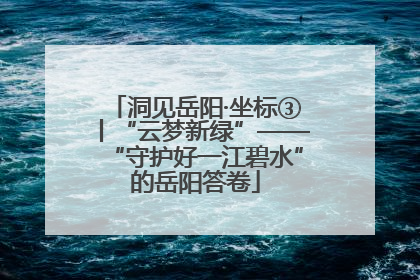 洞见岳阳·坐标③丨“云梦新绿”——“守护好一江碧水”的岳阳答卷