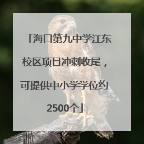 海口第九中学江东校区项目冲刺收尾，可提供中小学学位约2500个