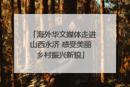 海外华文媒体走进山西永济 感受美丽乡村振兴新貌
