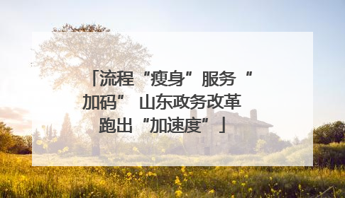流程“瘦身”服务“加码” 山东政务改革跑出“加速度”