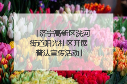 济宁高新区洸河街道阳光社区开展普法宣传活动