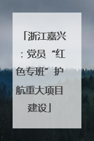 浙江嘉兴：党员“红色专班”护航重大项目建设
