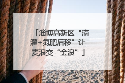 淄博高新区“滴灌+氮肥后移”让麦浪变“金浪”