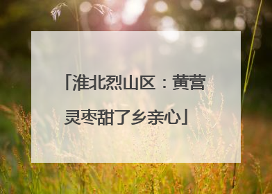 淮北烈山区：黄营灵枣甜了乡亲心