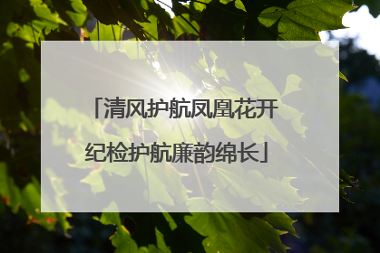 清风护航凤凰花开 纪检护航廉韵绵长