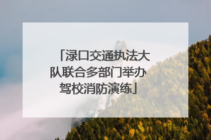 渌口交通执法大队联合多部门举办驾校消防演练