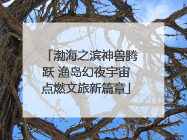 渤海之滨神兽腾跃 渔岛幻夜宇宙点燃文旅新篇章