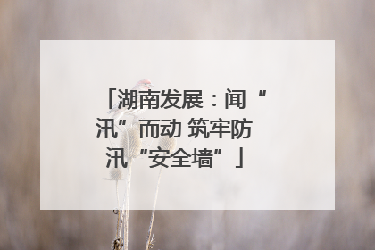 湖南发展：闻“汛”而动 筑牢防汛“安全墙”