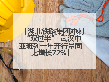 湖北铁路集团冲刺“双过半” 武汉中亚班列一年开行量同比增长72%