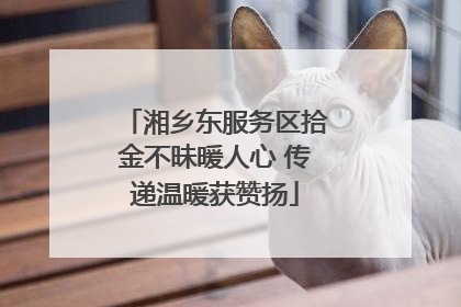 湘乡东服务区拾金不昧暖人心 传递温暖获赞扬