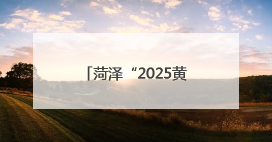 菏泽“2025黄河大集—曹州牡丹园夜游消夏季”开幕