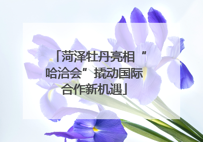 菏泽牡丹亮相“哈洽会”撬动国际合作新机遇