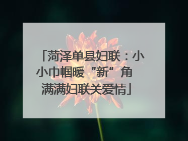 菏泽单县妇联：小小巾帼暖“新”角 满满妇联关爱情