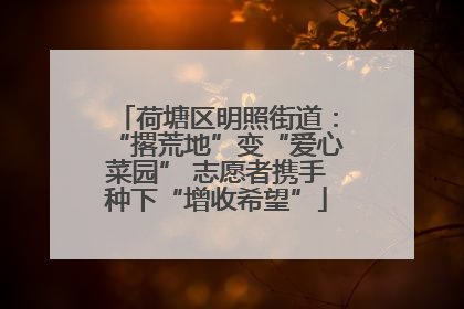 荷塘区明照街道：“撂荒地”变“爱心菜园” 志愿者携手种下“增收希望”