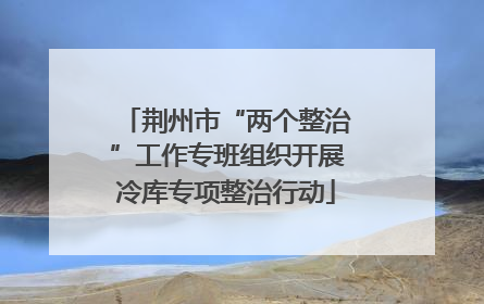 荆州市“两个整治”工作专班组织开展冷库专项整治行动