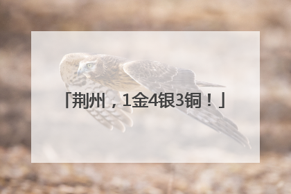 荆州，1金4银3铜！