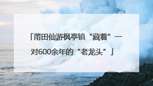 莆田仙游枫亭镇“藏着”一对600余年的“老龙头”