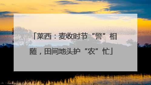 莱西：麦收时节“警”相随，田间地头护“农”忙