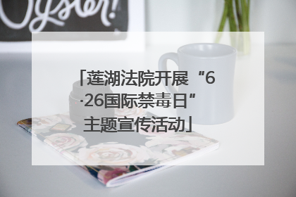 莲湖法院开展“6·26国际禁毒日”主题宣传活动