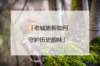 老城更新如何守护历史韵味