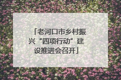 老河口市乡村振兴“四项行动”建设推进会召开